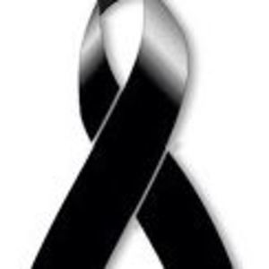 Meet your Posher, Delia